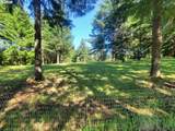 1401 Reuben Boise Rd - Photo 48
