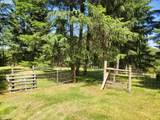 1401 Reuben Boise Rd - Photo 9
