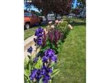 10503 Emily Dr - Photo 36