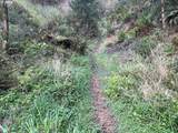 83126 Siltcoos Station Rd - Photo 22