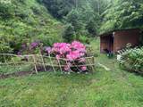 83126 Siltcoos Station Rd - Photo 23