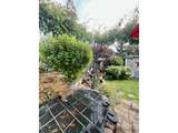 549 Nash St - Photo 22