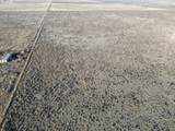 Taylor Rd - Photo 11