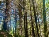  Us Highway 101 - Photo 10