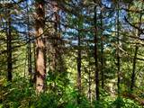  Us Highway 101 - Photo 12