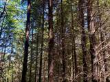  Us Highway 101 - Photo 13