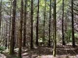  Us Highway 101 - Photo 14