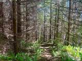  Us Highway 101 - Photo 15