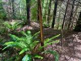  Us Highway 101 - Photo 16