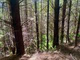  Us Highway 101 - Photo 17