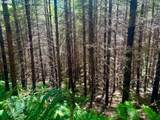  Us Highway 101 - Photo 9
