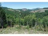 0 Kalama River Rd - Photo 14