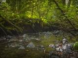 14718 Bonanza Rd - Photo 43