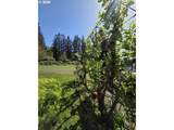 42970 Music Camp Rd - Photo 47