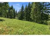 23757 Shady View Ln - Photo 35