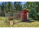 23757 Shady View Ln - Photo 41