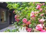 4842 Elm Ln - Photo 3