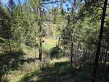 31112 Sparta Ln - Photo 11
