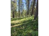 31112 Sparta Ln - Photo 12