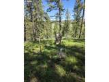 31112 Sparta Ln - Photo 13