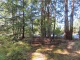 8021 Afflerbaugh Ct - Photo 4