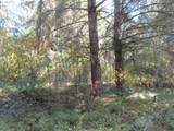 8021 Afflerbaugh Ct - Photo 6
