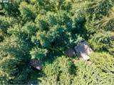 32553 Dhooghe Rd - Photo 48