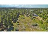 Lake Point Dr - Photo 9