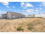 2734 Curlew St - Photo 24