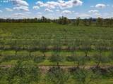 34974 Richardson Gap Rd - Photo 20