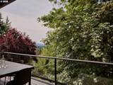 50 Spinosa - Photo 17