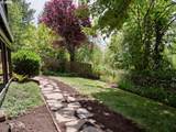 50 Spinosa - Photo 40