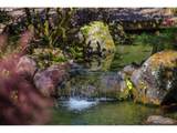 3831 Woodson Ct - Photo 41