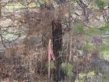  Wahkiacus Heights Rd - Photo 14