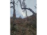  Wahkiacus Heights Rd - Photo 21