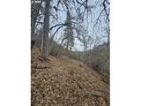  Wahkiacus Heights Rd - Photo 23