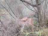  Wahkiacus Heights Rd - Photo 26