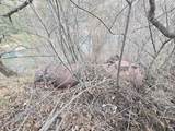  Wahkiacus Heights Rd - Photo 27