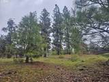 Wahkiacus Heights Rd - Photo 40