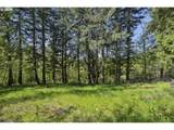38041 Rickert Rd - Photo 37