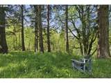38041 Rickert Rd - Photo 38