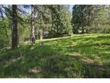 38041 Rickert Rd - Photo 39