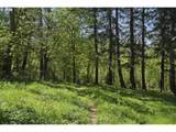 38041 Rickert Rd - Photo 40