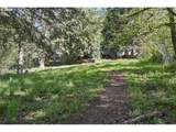 38041 Rickert Rd - Photo 41