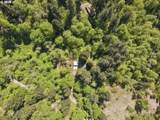 38041 Rickert Rd - Photo 42