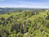 38041 Rickert Rd - Photo 44