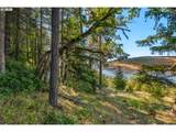 321 Ponderosa Pl - Photo 19