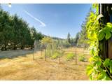 75401 Clatskanie Valley Dr - Photo 39