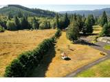 75401 Clatskanie Valley Dr - Photo 48
