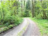 0 Crystal Creek Rd - Photo 7
